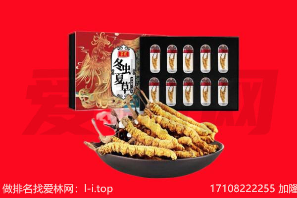 大兴安岭回收虫草.jpg